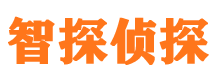 鹿城侦探公司